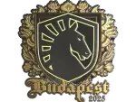 Sticker | Team Liquid (Gold) | Budapest 2025
