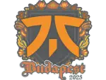 Sticker | fnatic | Budapest 2025