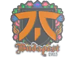 Sticker | fnatic (Embroidered) | Budapest 2025