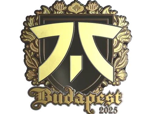 Sticker | fnatic (Gold) | Budapest 2025 Sticker | fnatic (Gold) | Budapest 2025
