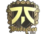Sticker | fnatic (Gold) | Budapest 2025