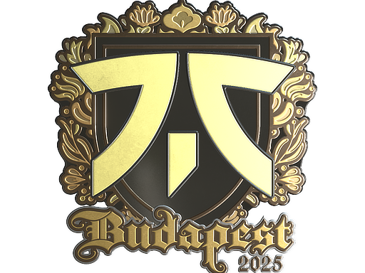 fnatic (Gold) | Budapest 2025