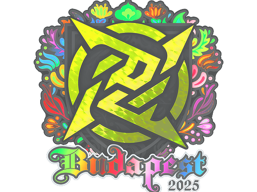 Ninjas in Pyjamas (Holo) | Budapest 2025