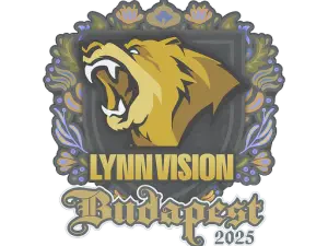 Lynn Vision