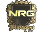 Sticker | NRG (Gold) | Budapest 2025