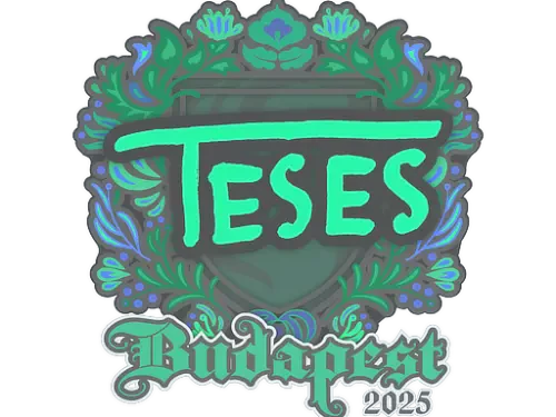 Sticker | TeSeS | Budapest 2025