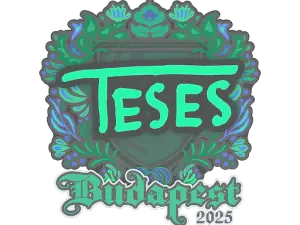 TeSeS