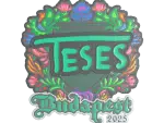 Sticker | TeSeS (Embroidered) | Budapest 2025