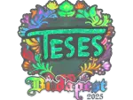 Sticker | TeSeS (Holo) | Budapest 2025