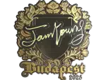 Sticker | JamYoung (Gold) | Budapest 2025