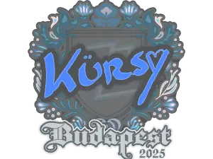 Kursy