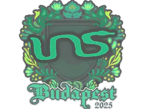 INS