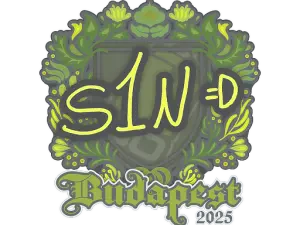 s1n