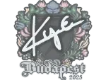 Sticker | kye | Budapest 2025