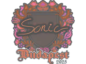 Sonic
