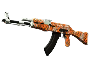 AK-47 | Safety Net