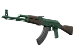 AK-47 | Wintergreen