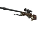 AWP | PAW